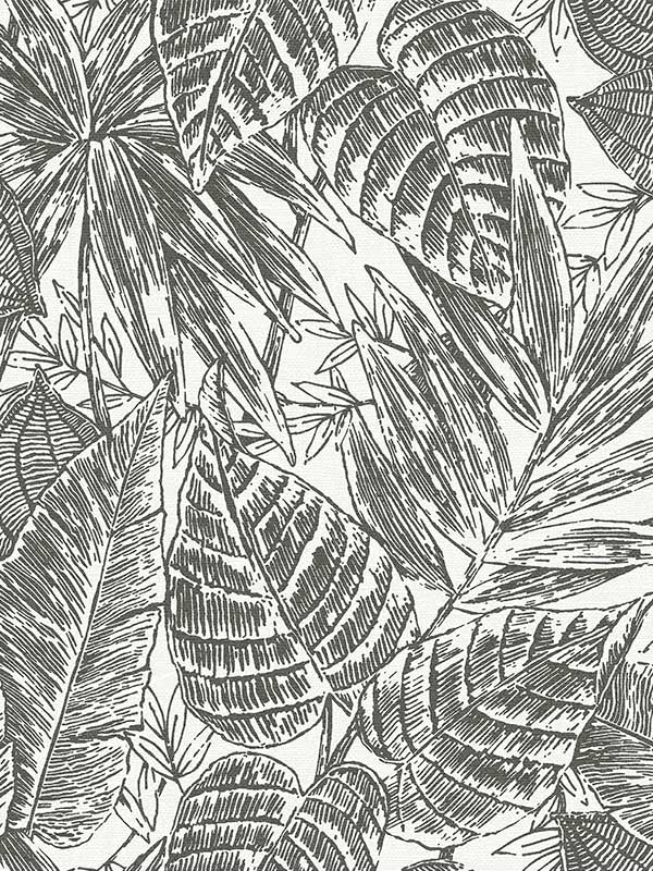 Brentwood Palm Leaves fabric in black color - pattern number 4034-72115 - by A Street Prints in the Scott Living Third Edition collection