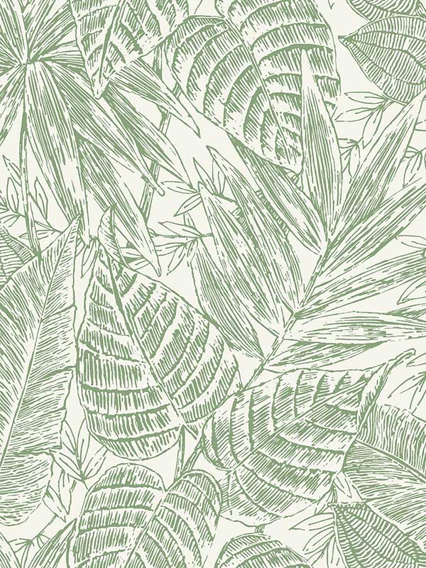 Brentwood Palm Leaves fabric in green color - pattern number 4034-72116 - by A Street Prints in the Scott Living Third Edition collection