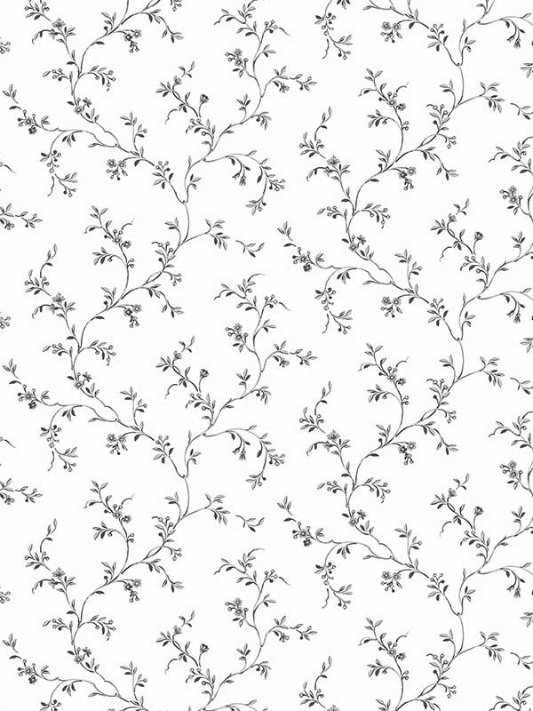 Allisons Trail fabric in grey black color - pattern number PF38111 - by Patton Norwall in the Pretty Florals collection
