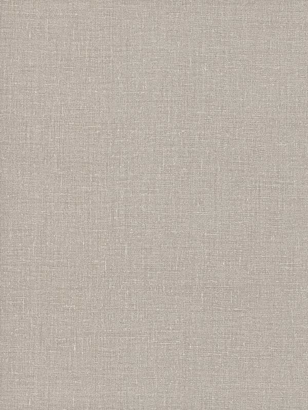 Gesso Weave fabric in beige color - pattern number 5981 - by York in the Signature Textures Resource Library Second Edition collection