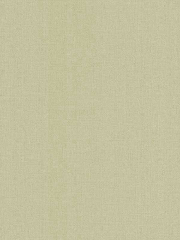 Su Tela fabric in green color - pattern number SI24951 - by York in the Signature Textures Resource Library Second Edition collection