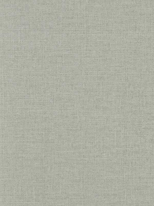 Dalton fabric in dove color - pattern number W0157/01.CAC.0 - by Clarke and Clarke in the Marianne collection