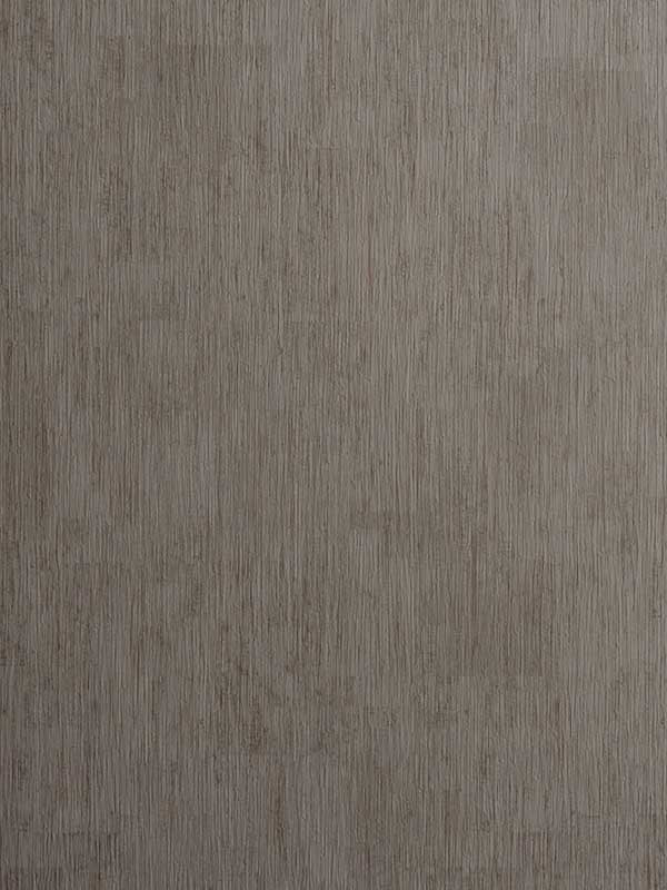 Rafi wallpaper in steel color - pattern number W0060/09.CAC.0 - by Clarke and Clarke in the Reflections collection