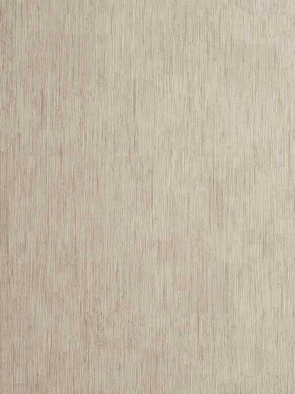 Rafi wallpaper in taupe color - pattern number W0060/10.CAC.0 - by Clarke and Clarke in the Reflections collection