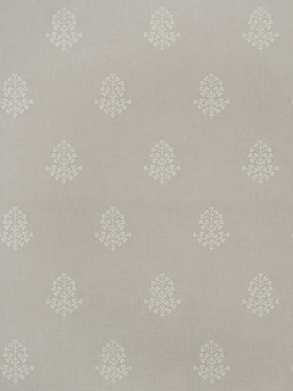 Cow Parsley wallpaper in marl color - pattern number AMW10076.11.0 - by Andrew Martin in the Arboretum collection