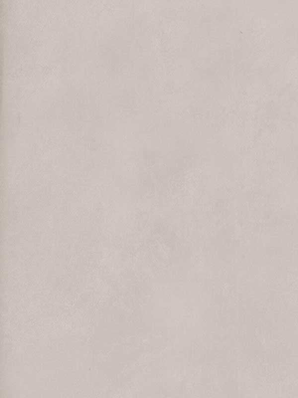 Japan wallpaper in frost color - pattern number AMW10059.11.0 - by Andrew Martin in the Japan collection