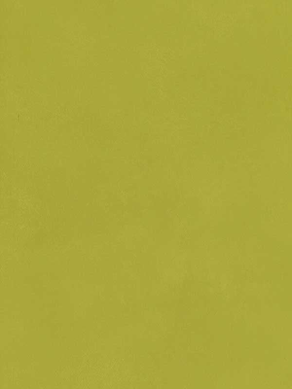 Japan wallpaper in citrus color - pattern number AMW10059.3.0 - by Andrew Martin in the Japan collection