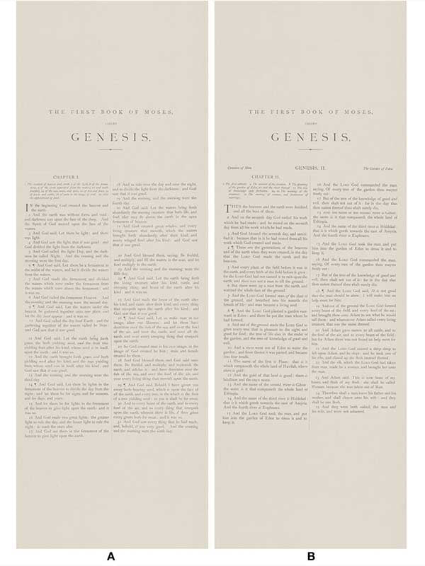 Genesis 2 Panel mural in beige black color - pattern number AMW10066.16.0 - by Andrew Martin in the Scholar collection
