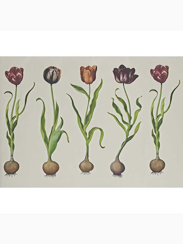 Tulips fabric in purple green white color - pattern number AMW10067.310.0 - by Andrew Martin in the Scholar collection
