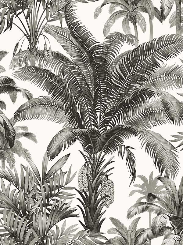 Palm Grove Peel and Stick wallpaper in inkwell color - pattern number RM22300 - by Casa Mia in the Peel and Stick Wallpaper by Casa Mia collection