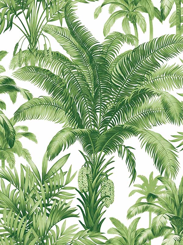 Palm Grove Peel and Stick fabric in greenery color - pattern number RM22304 - by Casa Mia in the Peel and Stick Wallpaper by Casa Mia collection