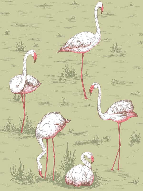 Flamingos fabric in olive color - pattern number 112/11038.CS.0 - by Cole and Son in the Icons collection