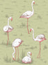 Flamingos fabric in olive color - pattern number 112/11038.CS.0 - by Cole and Son in the Icons collection