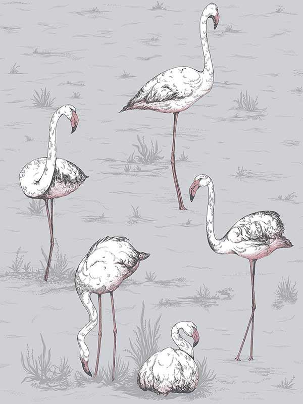 Flamingos fabric in grey color - pattern number 112/11040.CS.0 - by Cole and Son in the Icons collection
