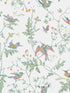 Hummingbirds fabric in pastel color - pattern number 112/4016.CS.0 - by Cole and Son in the Icons collection