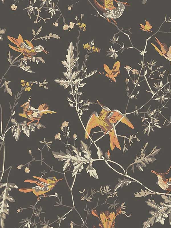 Hummingbirds fabric in charcoal ginger color - pattern number 112/4017.CS.0 - by Cole and Son in the Icons collection
