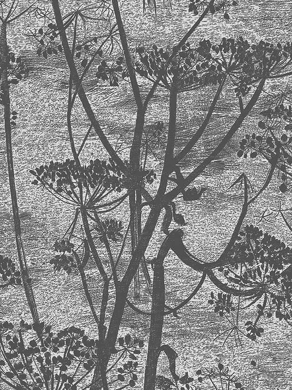Cow Parsley wallpaper in charcoal color - pattern number 112/8026.CS.0 - by Cole and Son in the Icons collection