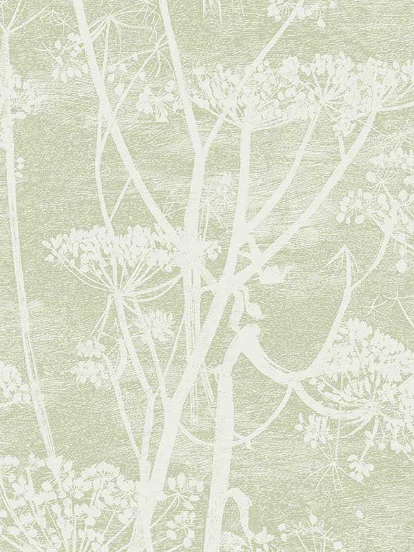Cow Parsley wallpaper in olive color - pattern number 112/8029.CS.0 - by Cole and Son in the Icons collection