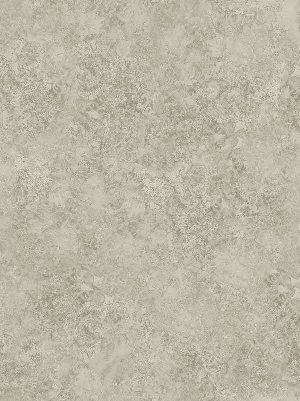 Patina Haze fabric in warm gilver color - pattern number 113/9026.CS.0 - by Cole and Son in the Martyn Lawrence Bullard collection