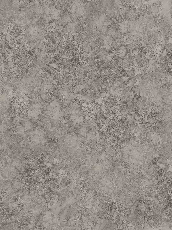Patina Haze fabric in taupe color - pattern number 113/9027.CS.0 - by Cole and Son in the Martyn Lawrence Bullard collection