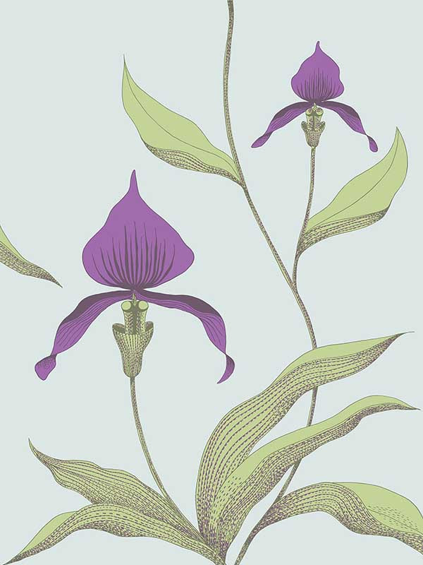Orchid fabric in turquoi color - pattern number 66/4027.CS.0 - by Cole and Son in the New Contemporary collection