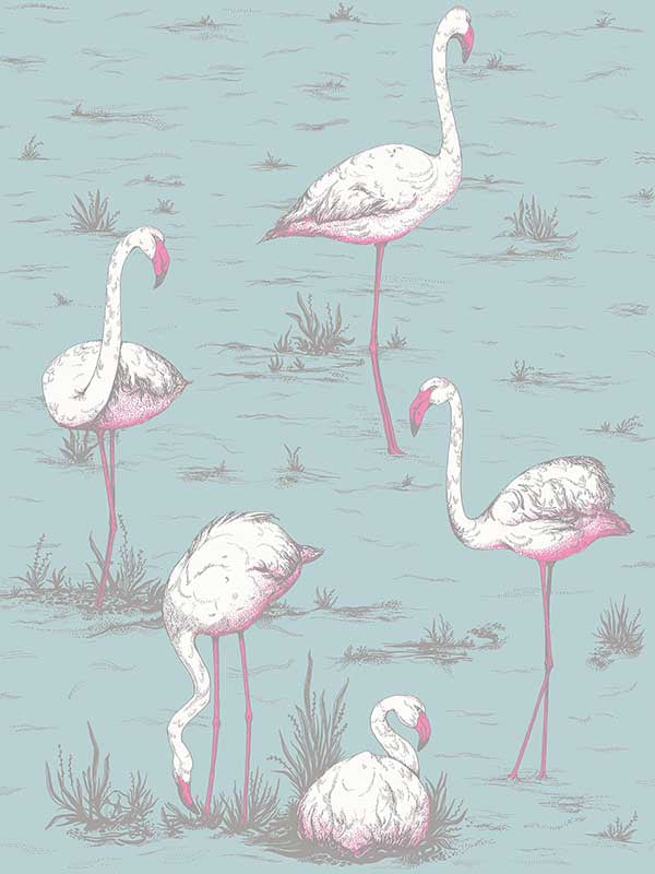 Flamingos wallpaper in pale blue color - pattern number 66/6044.CS.0 - by Cole and Son in the New Contemporary collection