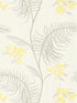 Mimosa fabric in white color - pattern number 69/8132.CS.0 - by Cole and Son in the New Contemporary II collection