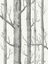 Woods fabric in onyx white color - pattern number 69/12147.CS.0 - by Cole and Son in the New Contemporary II collection