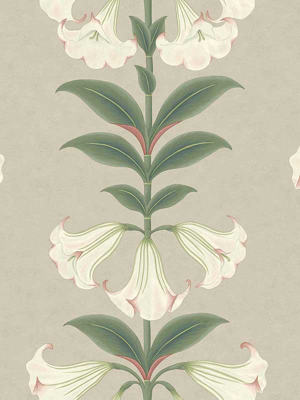 Angels Trumpet fabric in chalk and sage on stone color - pattern number 117/3007.CS.0 - by Cole and Son in the Seville collection