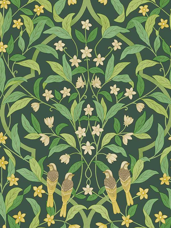 Jasmine and Serin Symphony wallpaper in yellow green forest color - pattern number 117/10029.CS.0 - by Cole and Son in the Seville collection