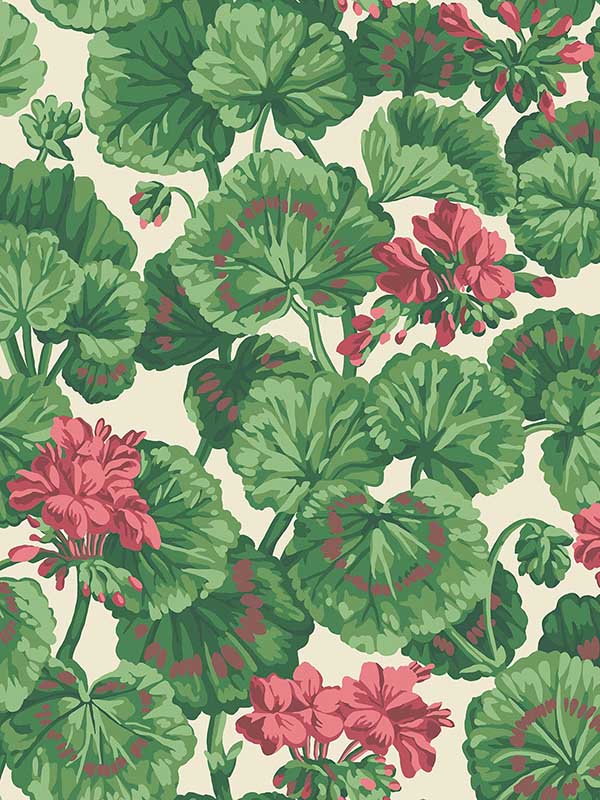 Geranium wallpaper in rose forest green on parchment color - pattern number 117/11034.CS.0 - by Cole and Son in the Seville collection