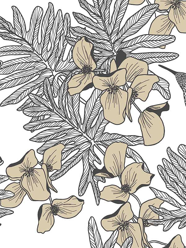 Hummingbird fabric in jet color - pattern number 180411706 - by Maxwell in the Aurora collection