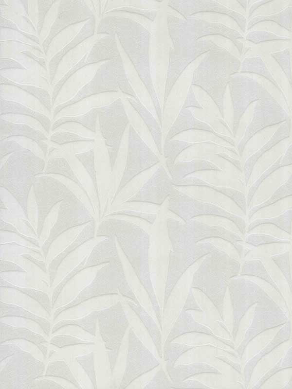 Verdi Flock wallpaper in 01 color - pattern number 113FLOCK01 - by Maxwell in the Camellia collection
