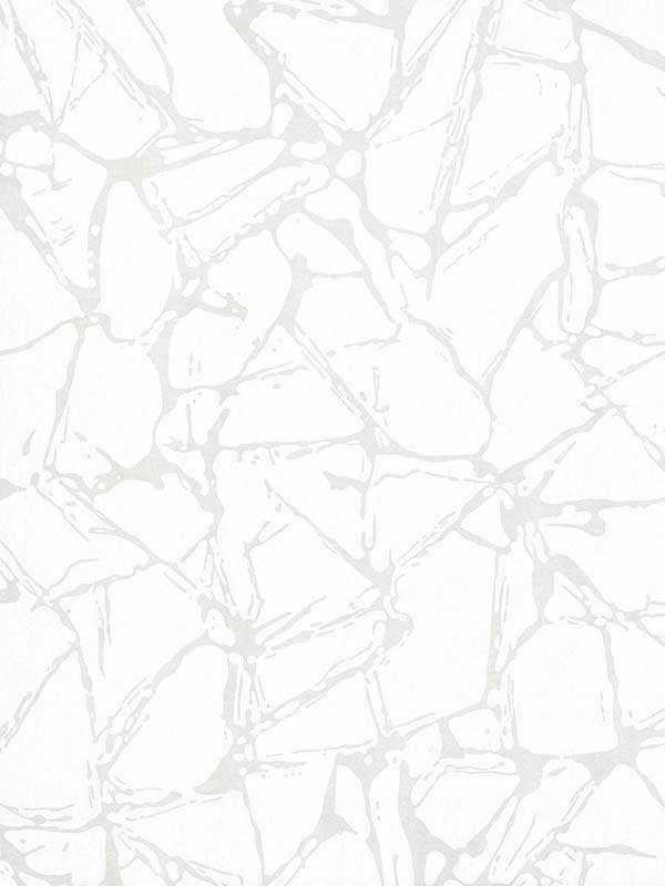 Glaze fabric in 01 color - pattern number 170311101 - by Maxwell in the Camellia collection