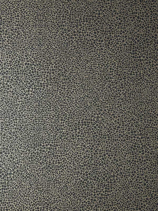 Emile wallpaper in 06 jet color - pattern number 190714106 - by Maxwell in the Elodie collection