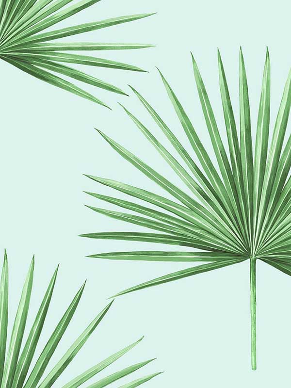 Pacific Palm Peel and Stick wallpaper in celeste and jade color - pattern number HG10404 - by NextWall in the Peel and Stick Wallpaper by Harry and Grace 2 collection