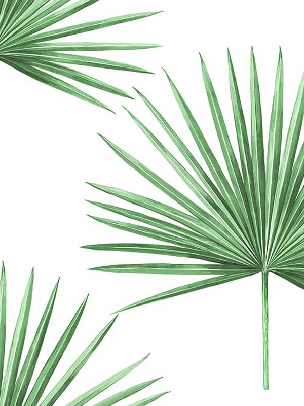 Pacific Palm Peel and Stick wallpaper in greenery color - pattern number HG10414 - by NextWall in the Peel and Stick Wallpaper by Harry and Grace 2 collection
