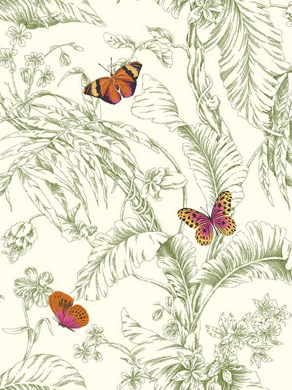 Papillon fabric in green color - pattern number AF2027 - by York in the Toiles Resource Library collection