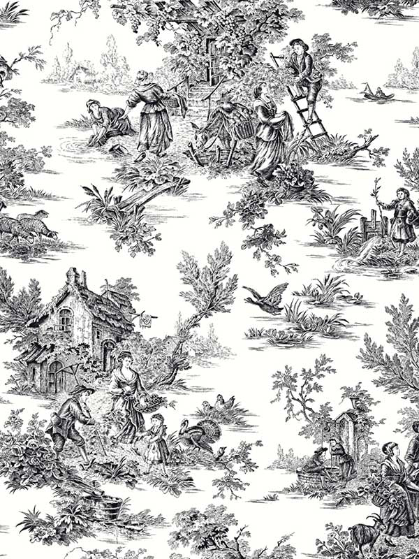 Campagne Toile fabric in black and white color - pattern number AT4228 - by York in the Toiles Resource Library collection