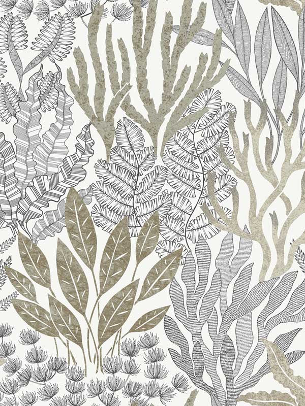 Coral Leaves fabric in taupe and black color - pattern number RT7802 - by York in the Toiles Resource Library collection