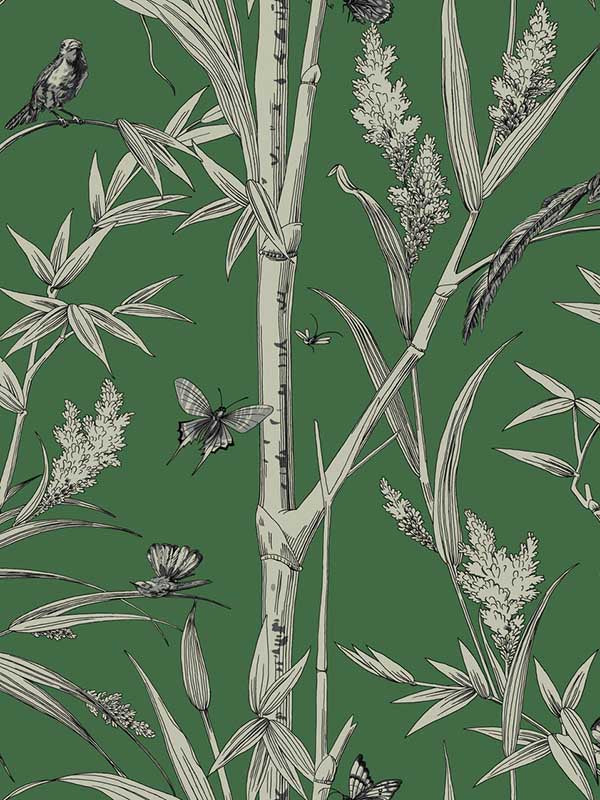 Bambou Toile fabric in green color - pattern number RT7831 - by York in the Toiles Resource Library collection