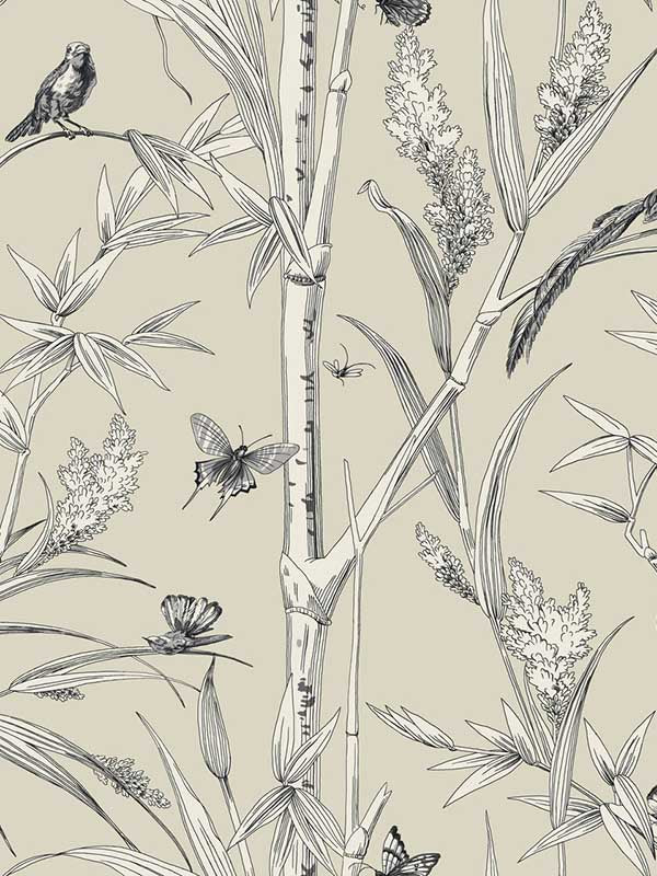 Bambou Toile fabric in beige color - pattern number RT7832 - by York in the Toiles Resource Library collection