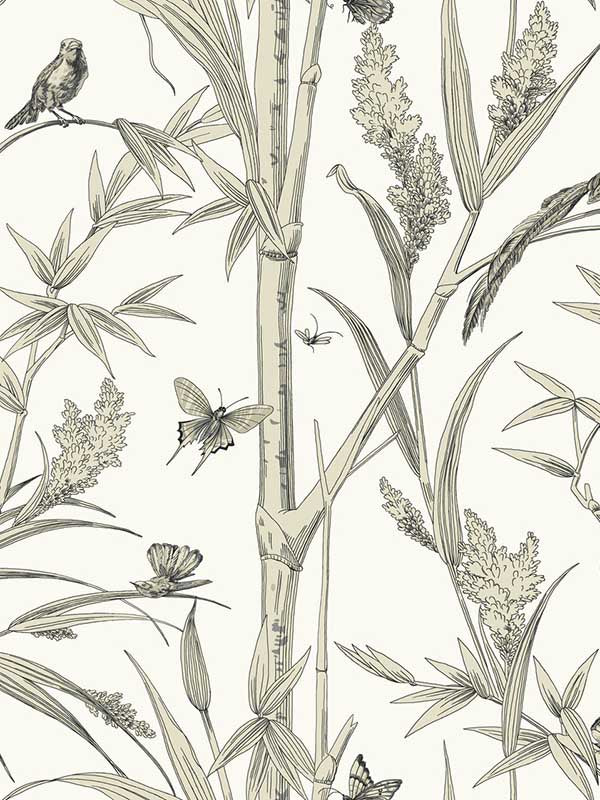 Bambou Toile fabric in white color - pattern number RT7836 - by York in the Toiles Resource Library collection