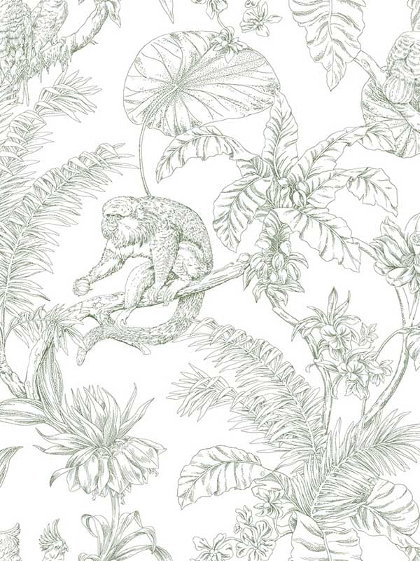 Tropical Sketch Toile fabric in forest color - pattern number RT7842 - by York in the Toiles Resource Library collection