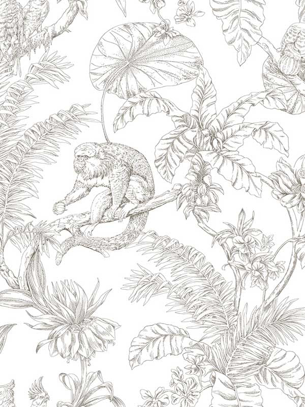 Tropical Sketch Toile fabric in brown color - pattern number RT7843 - by York in the Toiles Resource Library collection