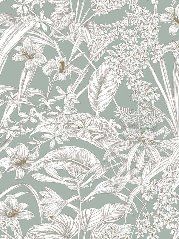 Orchid Conservatory Toile wallpaper in seamist and taupe color - pattern number RT7882 - by York in the Toiles Resource Library collection