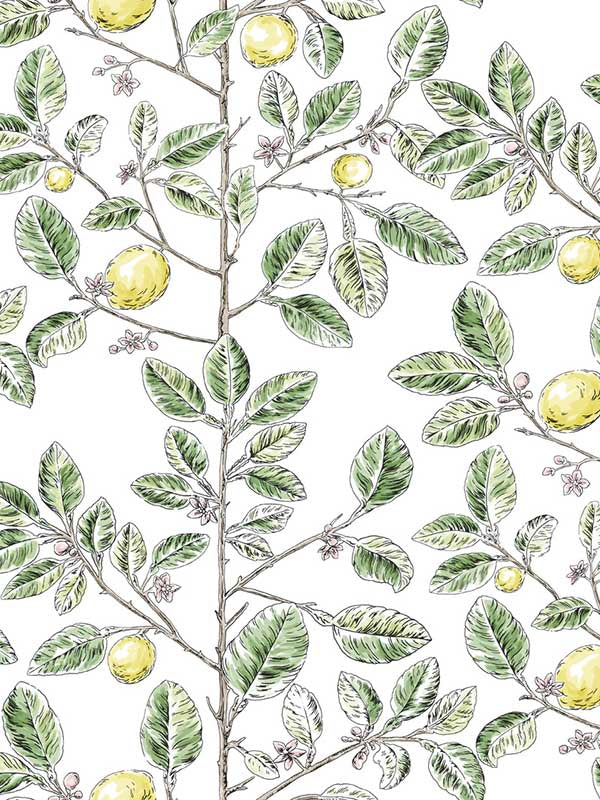 Limoncello Toile fabric in green color - pattern number RT7911 - by York in the Toiles Resource Library collection