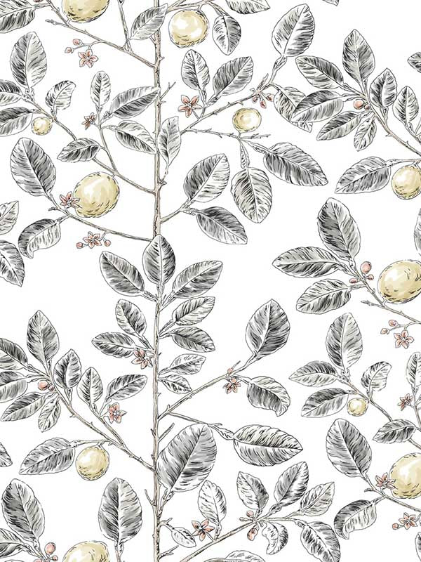 Limoncello Toile fabric in black color - pattern number RT7912 - by York in the Toiles Resource Library collection