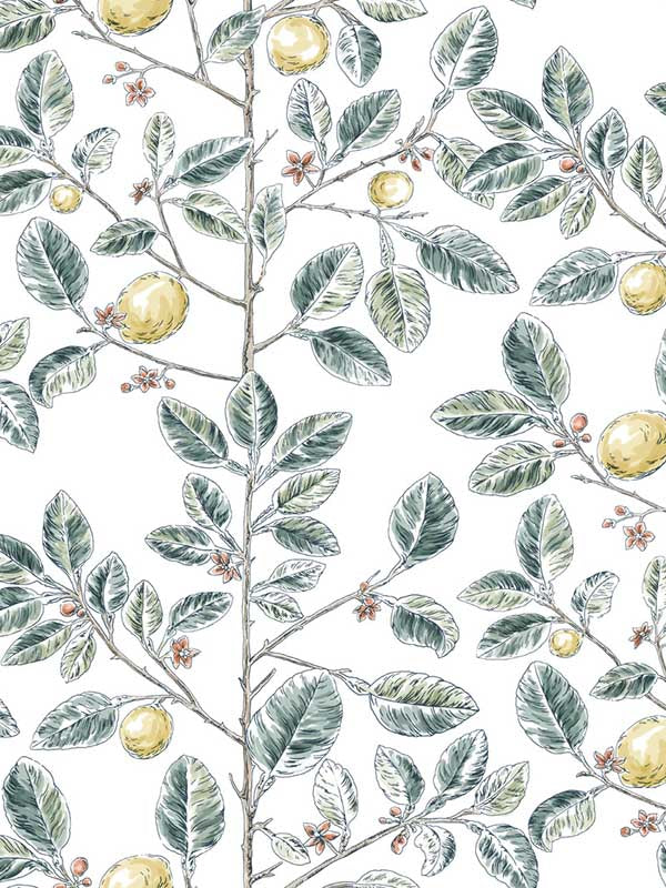 Limoncello Toile fabric in forest color - pattern number RT7914 - by York in the Toiles Resource Library collection