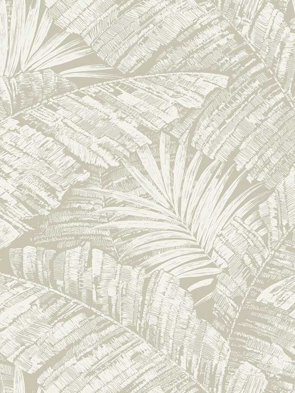 Palm Cove Toile wallpaper in white and taupe color - pattern number RT7926 - by York in the Toiles Resource Library collection